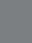 Фон Colorama/Lastolite PVC Colormatt Slate White 100x130 см