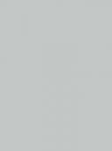 Фон Colorama/Lastolite PVC Colormatt Dove Grey 100x130 см
